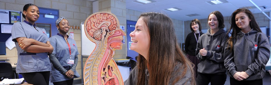 girl smiling at model of the human body